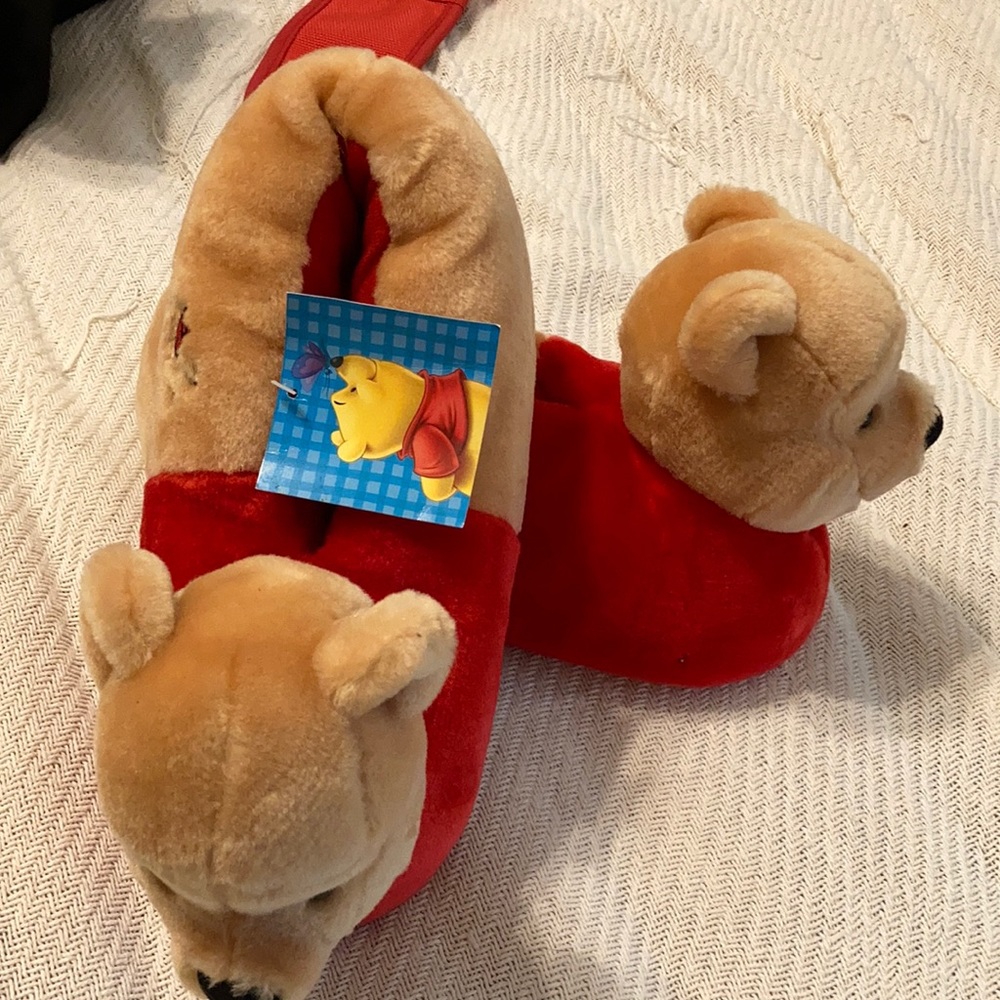 Adult Winnie the Pooh slippers.